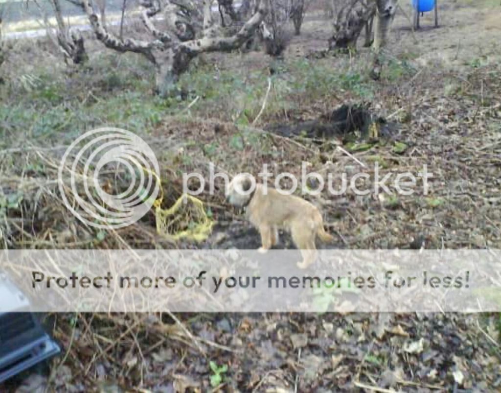 Screenshot_20170101-171833_zpsftlsm9mh.j