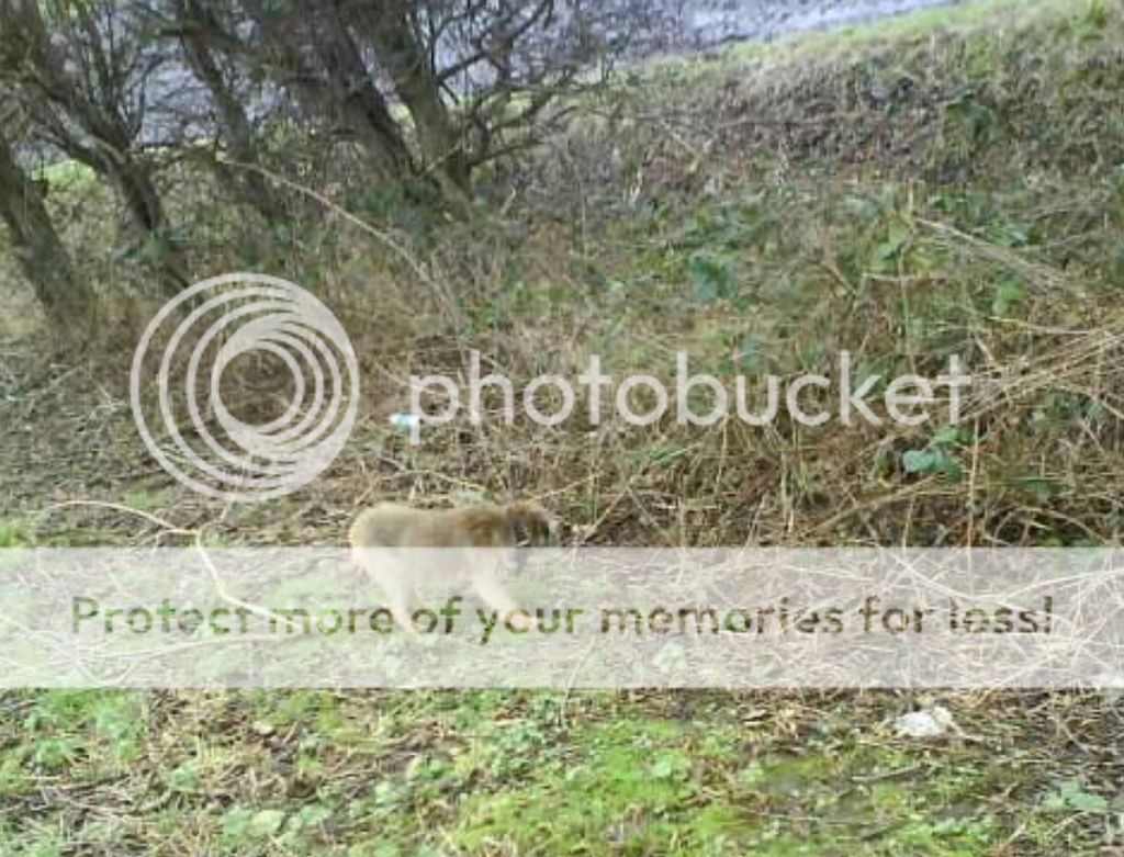 Screenshot_20170101-171911_zpsdw6vmqnk.j