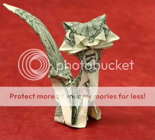 00-DollarBillCatOrigamiArtFelineAni.jpg