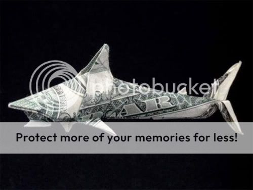 00-DollarBillOrigamiSharkOceanMoney.jpg