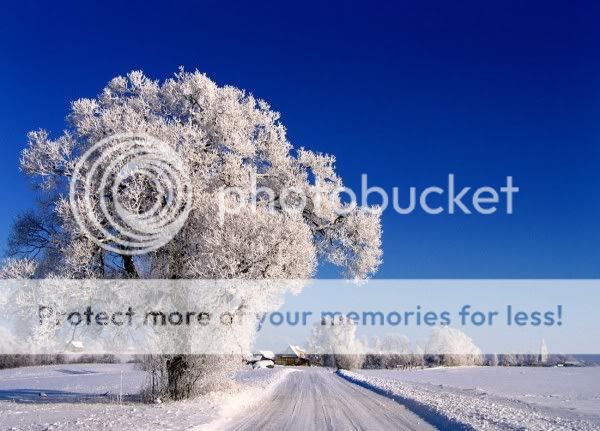 winter landscapes photo: Winter Snow WinterSnow.jpg