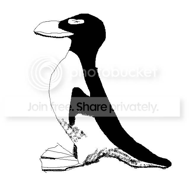 greatauk1.png