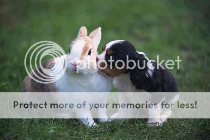 3400_475724322449784_1207067481_n_zpsce88a0d6.jpg