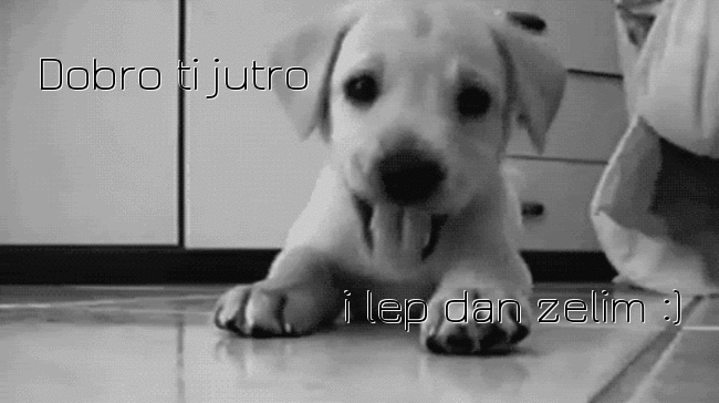 dobrojutro_zps3a0b7c31.gif