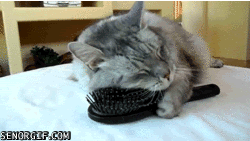 e4f86b71.gif