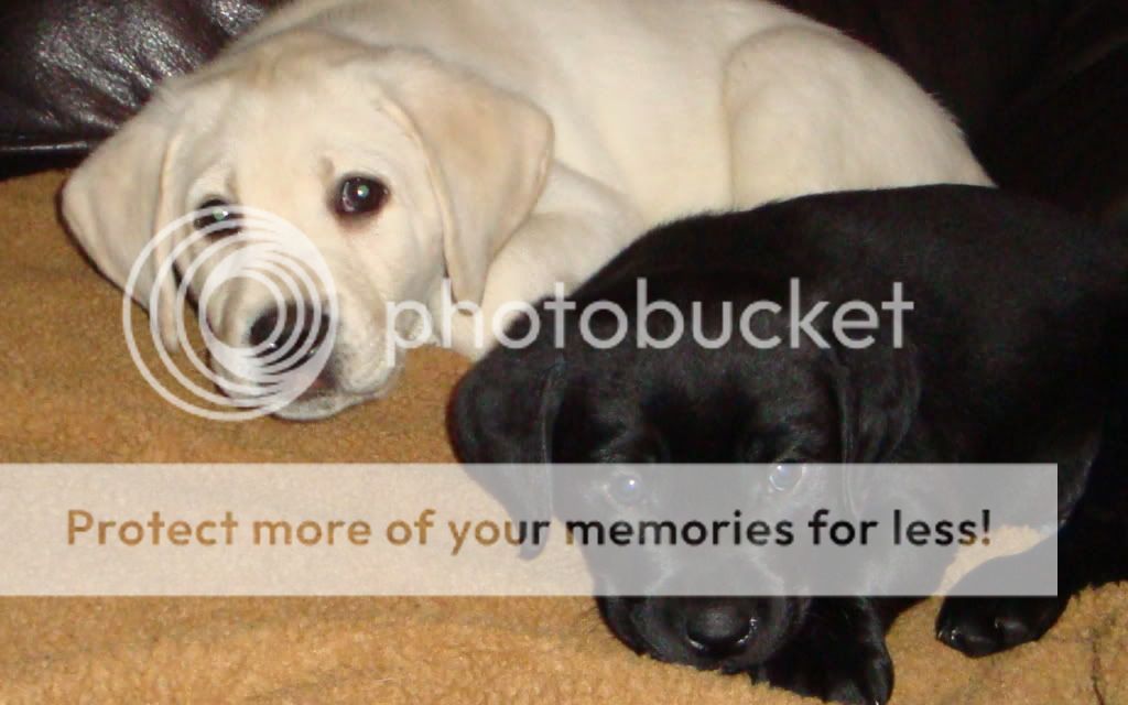 53662-1280x800-DSC00558.jpg