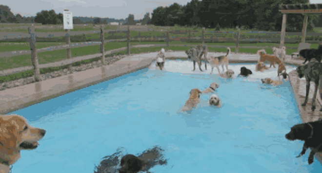 gif_660x354_6a1fda_zpsd6103237.gif