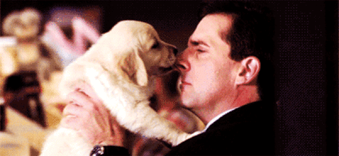 gif_700x322_4b9fa9_zpsbe539e4b.gif
